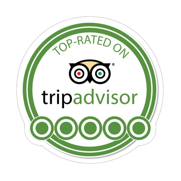 Trip advisor top rated